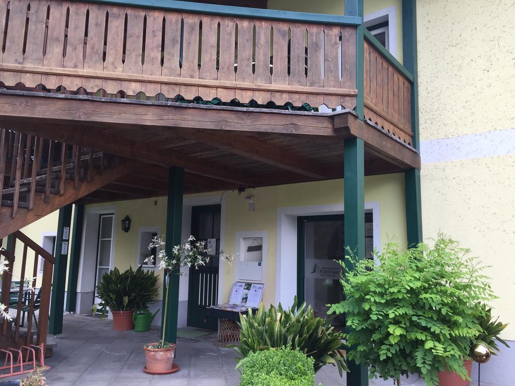 Appartements Im Forsthaus Штробль Екстер'єр фото